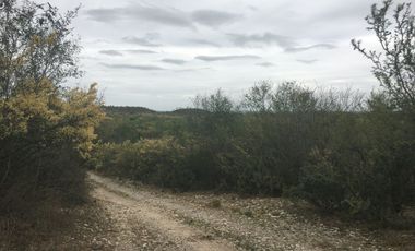 Rancho en Los Ramones, N.L.  en Venta de 731ha  $35,000/ha Negociable