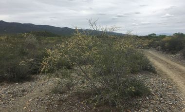Rancho en Los Ramones, N.L.  en Venta de 731ha  $35,000/ha Negociable