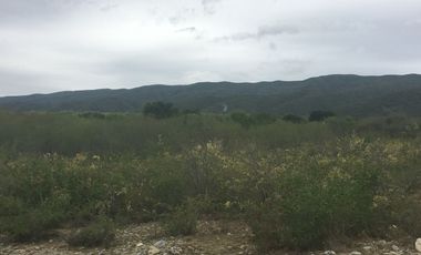 Rancho en Los Ramones, N.L.  en Venta de 731ha  $35,000/ha Negociable