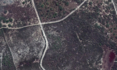 Rancho en Los Ramones, N.L.  en Venta de 731ha  $35,000/ha Negociable