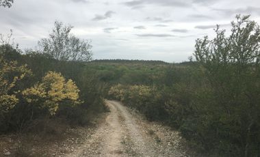 Rancho en Los Ramones, N.L.  en Venta de 731ha  $35,000/ha Negociable