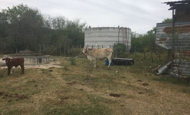 Rancho en Los Ramones, N.L.  en Venta de 731ha  $35,000/ha Negociable