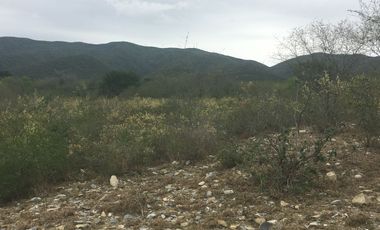 Rancho en Los Ramones, N.L.  en Venta de 731ha  $35,000/ha Negociable