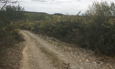 Rancho en Los Ramones, N.L.  en Venta de 731ha  $35,000/ha Negociable