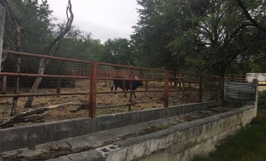 Rancho en Los Ramones, N.L.  en Venta de 731ha  $35,000/ha Negociable