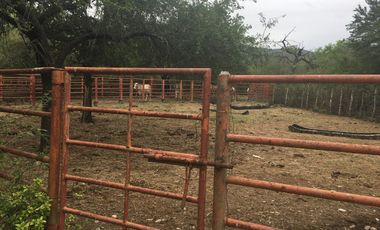Rancho en Los Ramones, N.L.  en Venta de 731ha  $35,000/ha Negociable