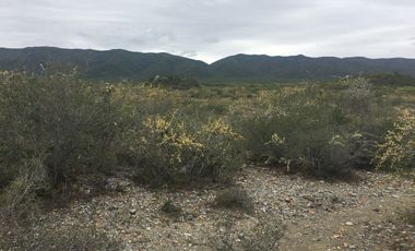 Rancho en Los Ramones, N.L.  en Venta de 731ha  $35,000/ha Negociable
