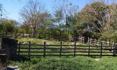 ¡OPORTUNIDAD DE VENTA.¡ RANCHO GANADERO, CHEMAX, YUCATAN; TIENE 2 CENOTES