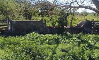 ¡OPORTUNIDAD DE VENTA.¡ RANCHO GANADERO, CHEMAX, YUCATAN; TIENE 2 CENOTES