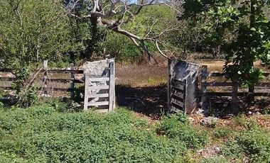 ¡OPORTUNIDAD DE VENTA.¡ RANCHO GANADERO, CHEMAX, YUCATAN; TIENE 2 CENOTES