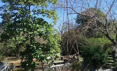 ¡OPORTUNIDAD DE VENTA.¡ RANCHO GANADERO, CHEMAX, YUCATAN; TIENE 2 CENOTES