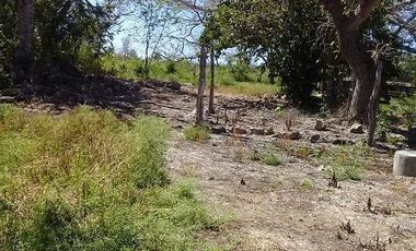 ¡OPORTUNIDAD DE VENTA.¡ RANCHO GANADERO, CHEMAX, YUCATAN; TIENE 2 CENOTES
