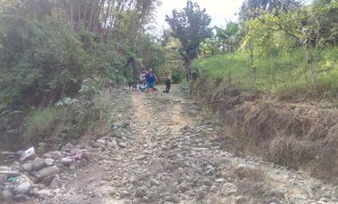 Vendo 31 hectareas Alianza via  Eden Ganadero