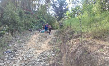 Vendo 31 hectareas Alianza via  Eden Ganadero