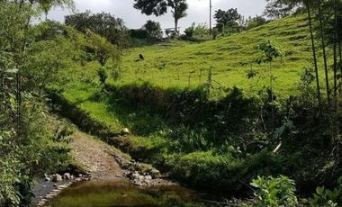 Vendo 31 hectareas Alianza via  Eden Ganadero