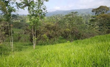 Vendo 31 hectareas Alianza via  Eden Ganadero