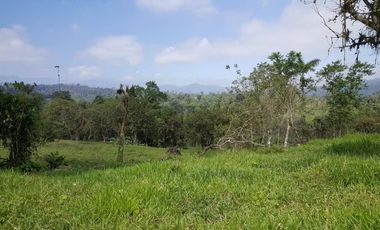 Vendo 31 hectareas Alianza via  Eden Ganadero