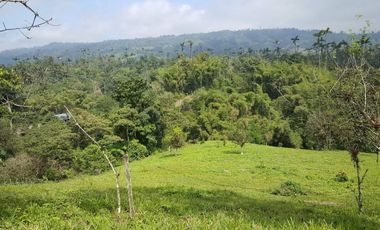 Vendo 31 hectareas Alianza via  Eden Ganadero