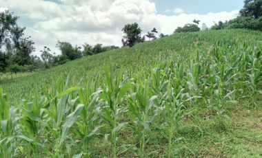 Vendo 31 hectareas Alianza via  Eden Ganadero