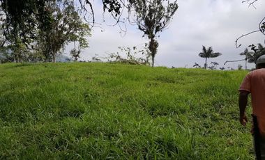 Vendo 31 hectareas Alianza via  Eden Ganadero