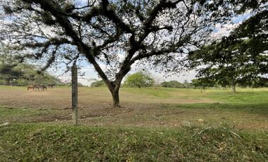 finca en venta en potrerito. Cod V13406