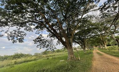 finca en venta en potrerito. Cod V13406