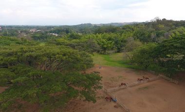 finca en venta en potrerito. Cod V13406