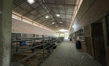 finca en venta en potrerito. Cod V13406