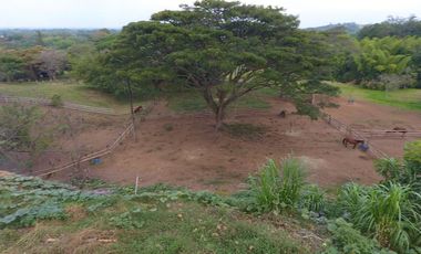 finca en venta en potrerito. Cod V13406