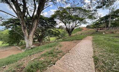 finca en venta en potrerito. Cod V13406