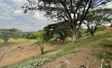 finca en venta en potrerito. Cod V13406