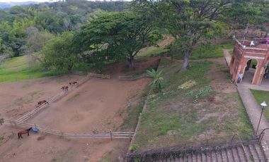 finca en venta en potrerito. Cod V13406