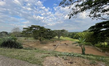 finca en venta en potrerito. Cod V13406