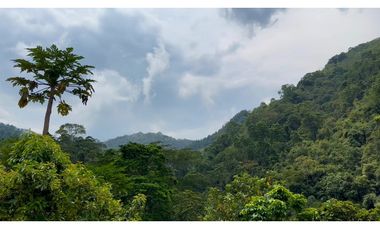 La Vega C/marca - Finca 40 hectáreas en venta 🌿