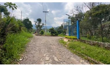 La Vega C/marca - Finca 40 hectáreas en venta 🌿