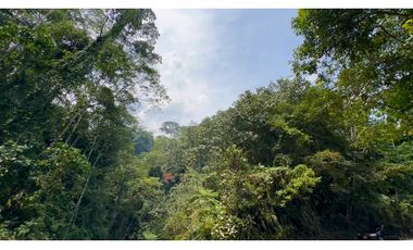 La Vega C/marca - Finca 40 hectáreas en venta 🌿