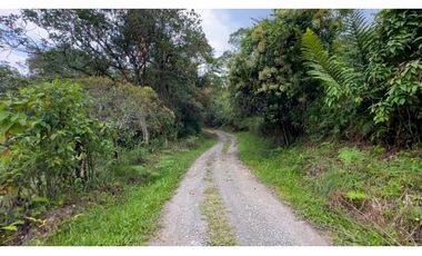 La Vega C/marca - Finca 40 hectáreas en venta 🌿