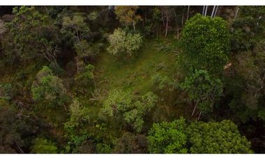 La Vega C/marca - Finca 40 hectáreas en venta 🌿