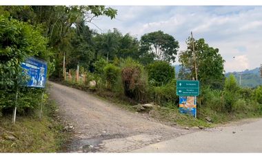 La Vega C/marca - Finca 40 hectáreas en venta 🌿