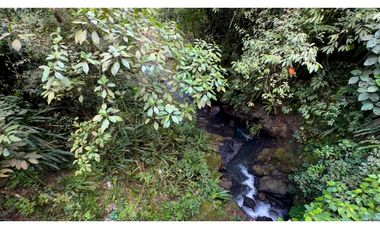 La Vega C/marca - Finca 40 hectáreas en venta 🌿