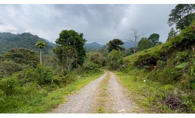 La Vega C/marca - Finca 40 hectáreas en venta 🌿