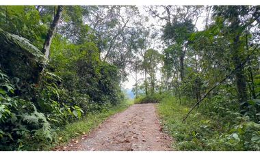 La Vega C/marca - Finca 40 hectáreas en venta 🌿