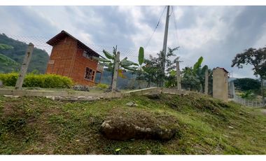 La Vega C/marca - Finca 40 hectáreas en venta 🌿