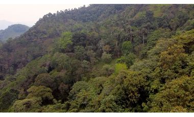 La Vega C/marca - Finca 40 hectáreas en venta 🌿