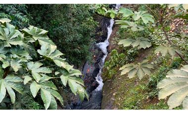 La Vega C/marca - Finca 40 hectáreas en venta 🌿