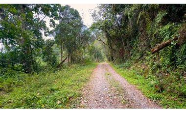 La Vega C/marca - Finca 40 hectáreas en venta 🌿