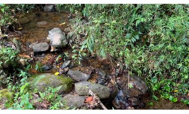 La Vega C/marca - Finca 40 hectáreas en venta 🌿