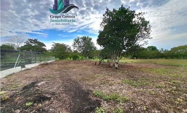 VENDO PROPIEDAD DE 10,400M2 PALMIRA DEL BANCO