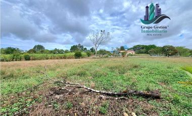 VENDO PROPIEDAD DE 10,400M2 PALMIRA DEL BANCO