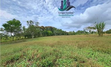 VENDO PROPIEDAD DE 10,400M2 PALMIRA DEL BANCO